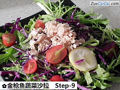 金枪鱼蔬菜沙拉做法第九步骤