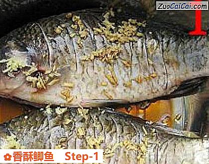 香酥鲫鱼做法第一步骤
