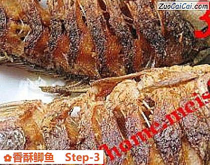 香酥鲫鱼做法第三步骤