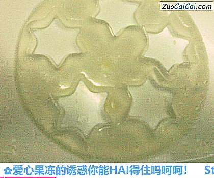爱心果冻的诱惑你能HAI得住吗呵呵!做法第二十一步骤