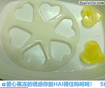 爱心果冻的诱惑你能HAI得住吗呵呵!做法第二十三步骤