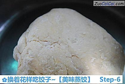美味蒸饺做法第六步骤