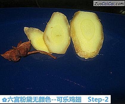 可乐鸡翅做法第二步骤