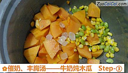 牛奶炖木瓜做法第三步骤