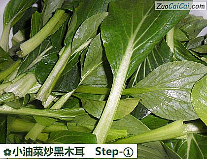 小油菜炒黑木耳做法第一步骤