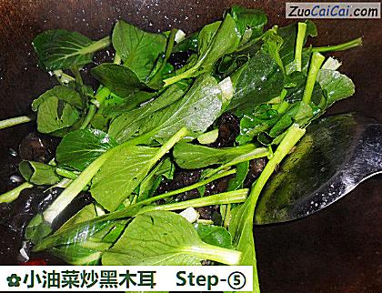 小油菜炒黑木耳做法第五步骤