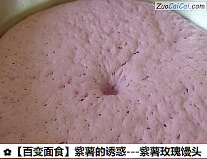 紫薯的诱惑做法第六步骤