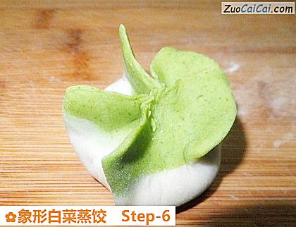 象形白菜蒸饺做法第六步骤
