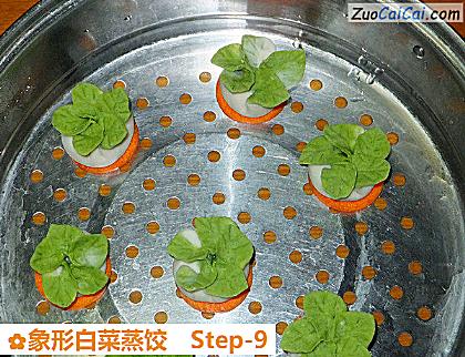 象形白菜蒸饺做法第九步骤