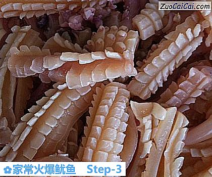 家常火爆鱿鱼做法第三步骤