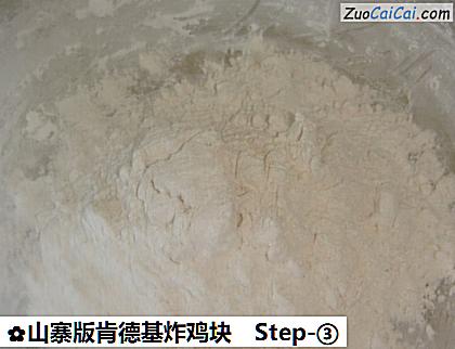 山寨版肯德基炸鸡块做法第三步骤