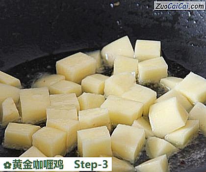 黄金咖喱鸡做法第三步骤