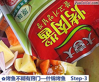 烤鱼不糊有窍门—什锦烤鱼做法第三步骤