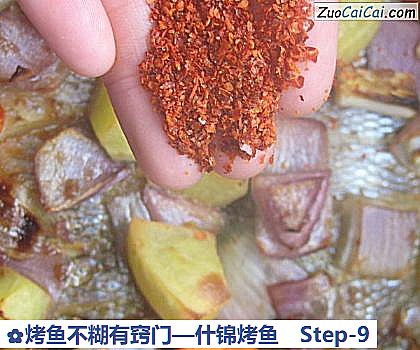 烤鱼不糊有窍门—什锦烤鱼做法第九步骤