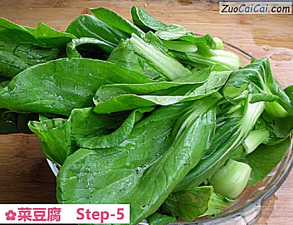 菜豆腐做法第五步骤