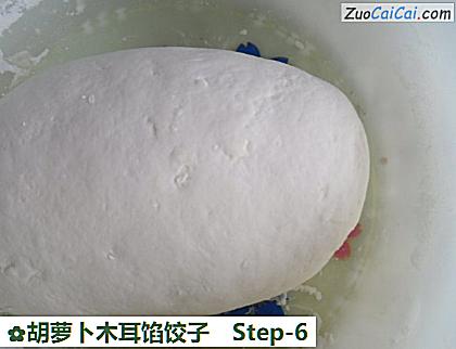 胡萝卜木耳馅饺子做法第六步骤