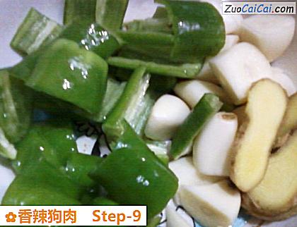 香辣狗肉做法第九步骤