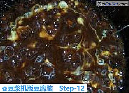 豆浆机版豆腐脑做法第十二步骤