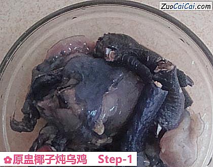 原盅椰子炖乌鸡做法第一步骤