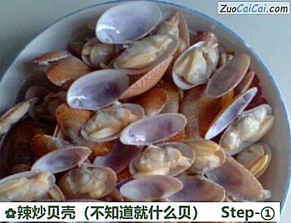 辣炒贝壳做法第一步骤