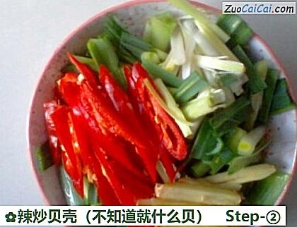 辣炒贝壳做法第二步骤