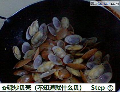 辣炒贝壳做法第五步骤