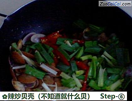 辣炒贝壳做法第六步骤