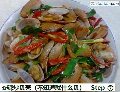 辣炒贝壳做法第七步骤
