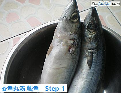 鱼丸汤鲅鱼做法第一步骤