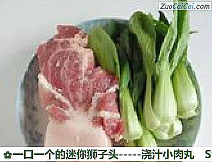 -浇汁小肉丸做法第一步骤