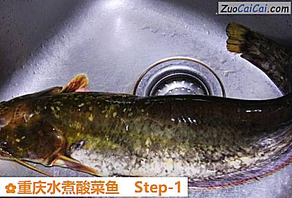 重庆水煮酸菜鱼做法第一步骤