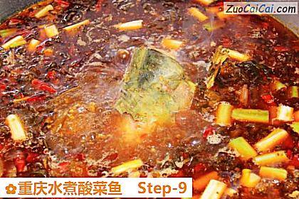 重庆水煮酸菜鱼做法第九步骤
