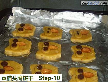 猫头鹰饼干做法第十步骤