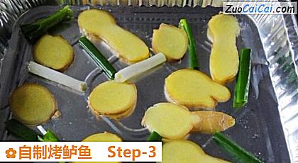 自制烤鲈鱼做法第三步骤