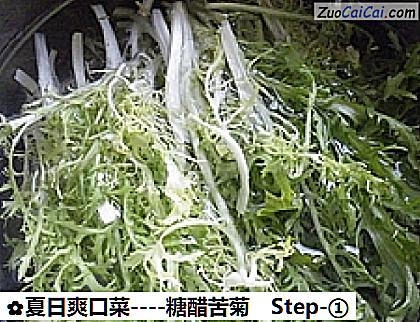 糖醋苦菊做法第一步骤