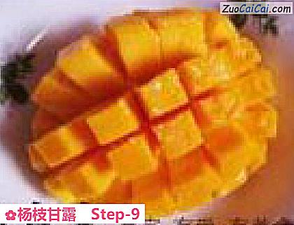 杨枝甘露做法第九步骤