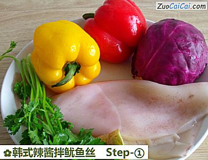 韩式辣酱拌鱿鱼丝做法第一步骤