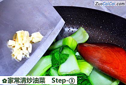 家常清炒油菜做法第三步骤