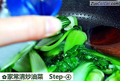 家常清炒油菜做法第四步骤
