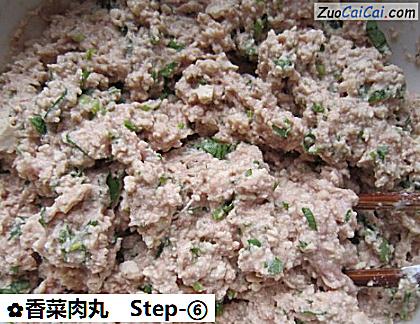 香菜肉丸做法第六步骤