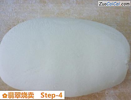 翡翠烧卖做法第四步骤