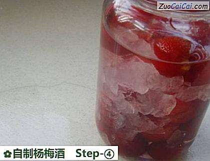 自制杨梅酒做法第四步骤