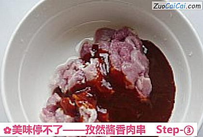 孜然酱香肉串做法第三步骤