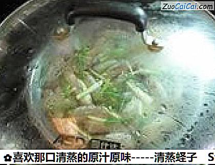 -清蒸蛏子做法第五步骤