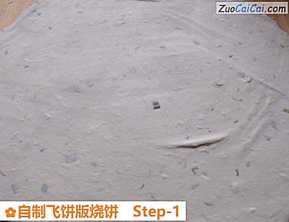 自制飞饼版烧饼做法第一步骤