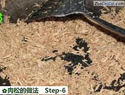 肉松做法第六步骤