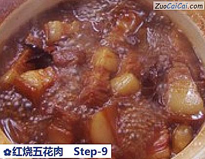 红烧五花肉做法第九步骤