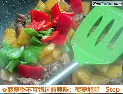 菠萝季不可错过的美味：菠萝焖鸭做法第十步骤
