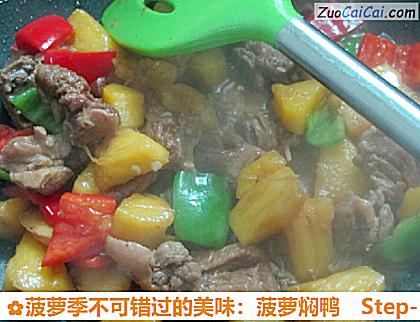菠萝季不可错过的美味：菠萝焖鸭做法第十一步骤