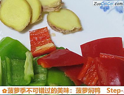 菠萝季不可错过的美味：菠萝焖鸭做法第二步骤